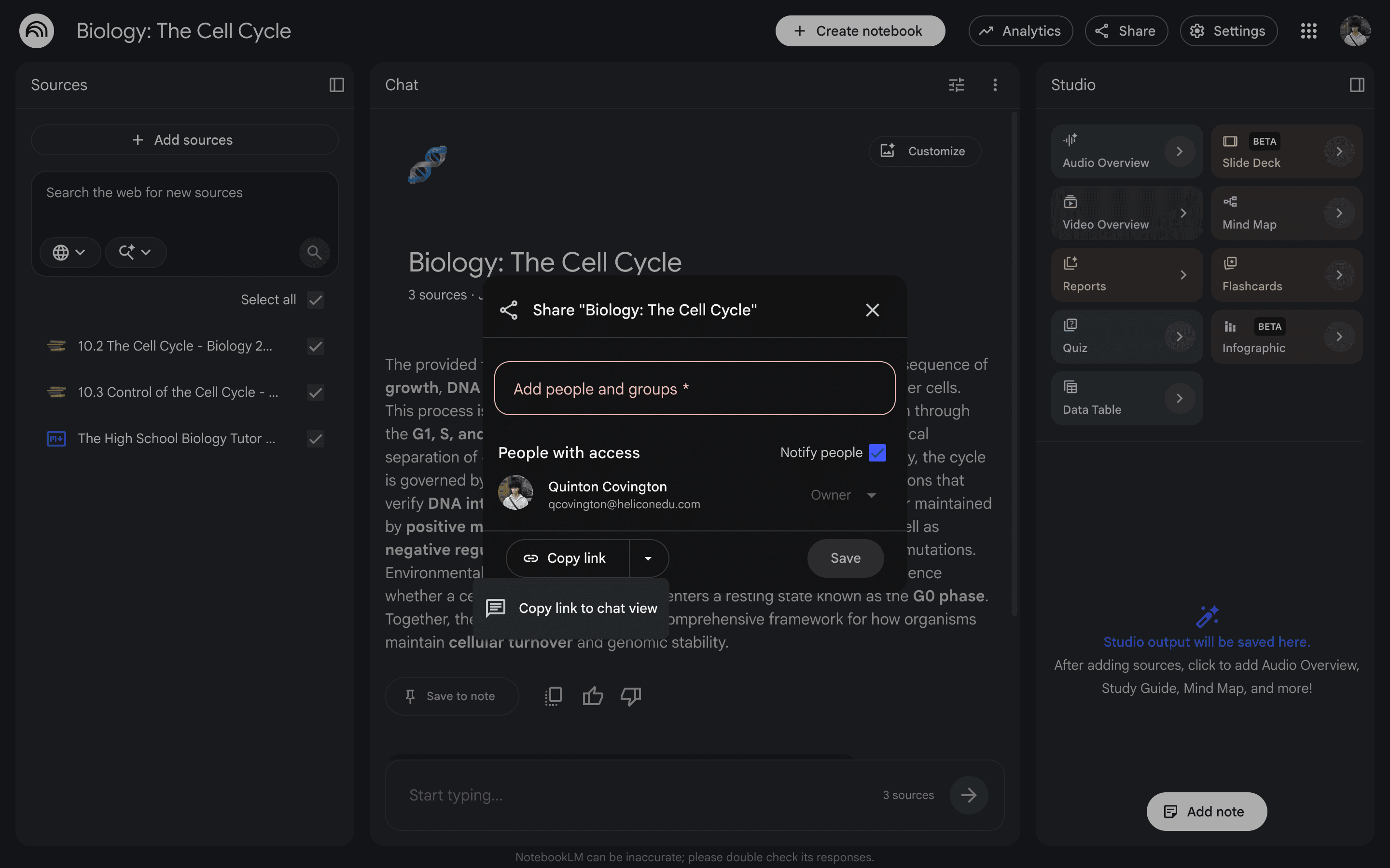The share dialog with a “copy link to chat view” option.
